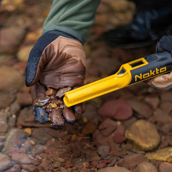 Nokta Accupoint pinpointer